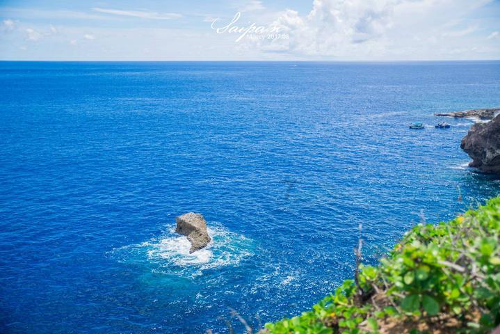 解救金刚鹦鹉