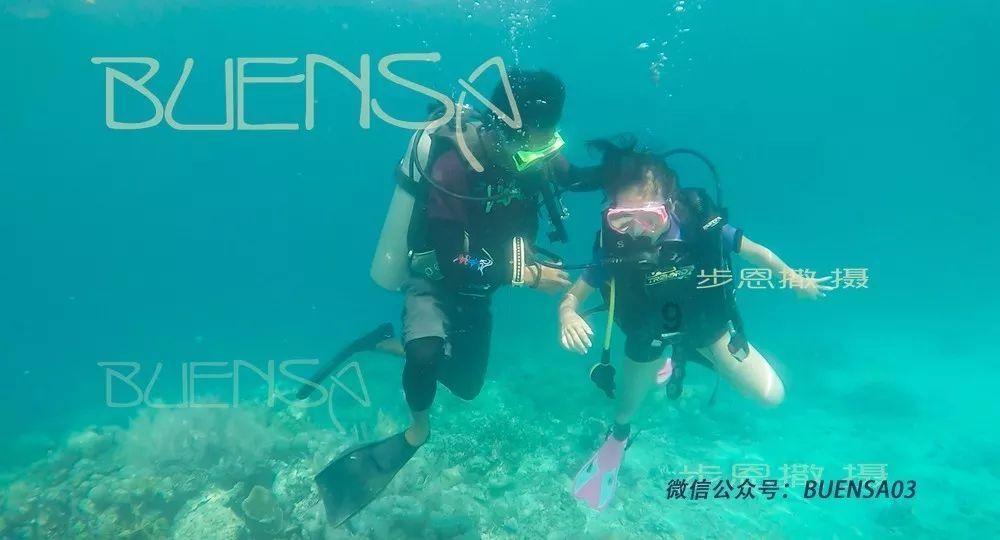饿狮救援