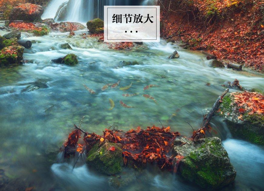 米歇尔:因遭“个人攻击”退选欧洲议会议员